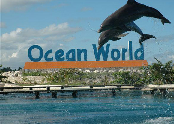 Ocean World Adventure Park In Puerto Plata Dominican