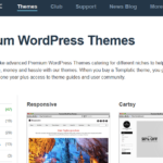 WordPress Themes Club